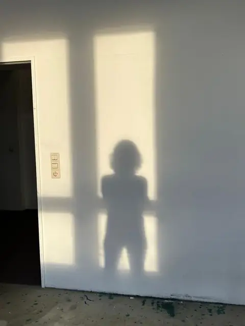 Afternoon light and a shadow on the studio wall
