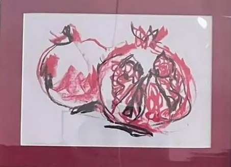 Pomegranates in red line