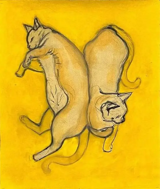 Two cats asleep on yellow
