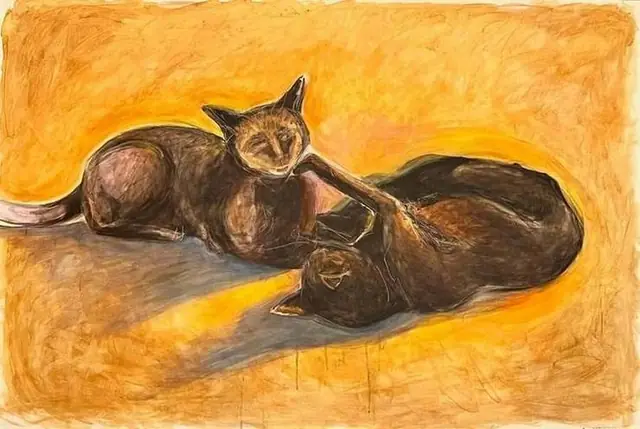 Two black cats in the sun