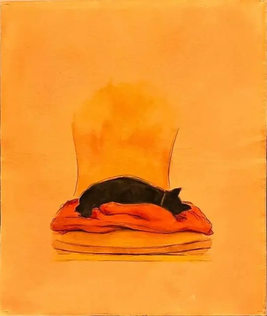 A black cat on an orange cushion