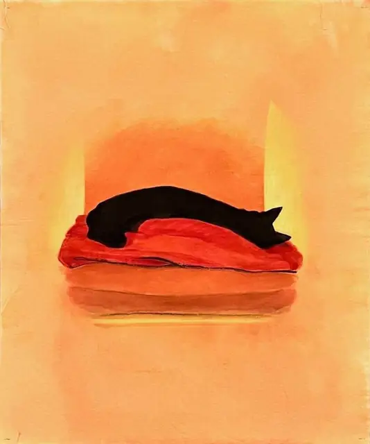 A black cat on a red cushion