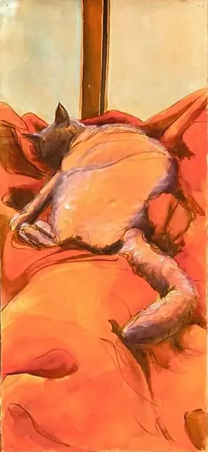 A grey cat on orange cushions