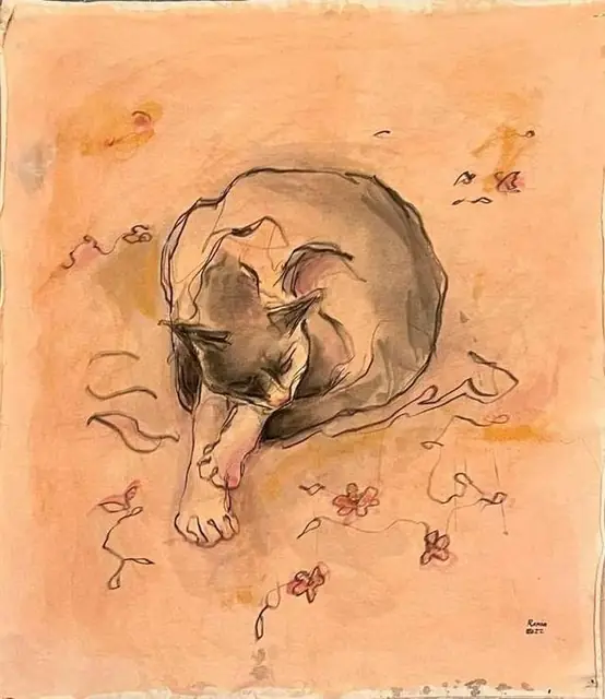 A cat washing its paw