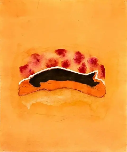 A black cat on an orange and red cushion