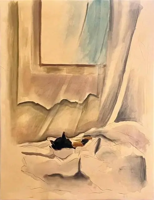 A cat in the sheets by the window