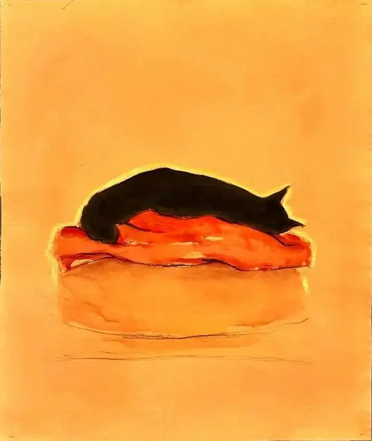 A black cat stretched out on orange