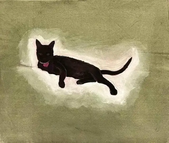 Black cat on green