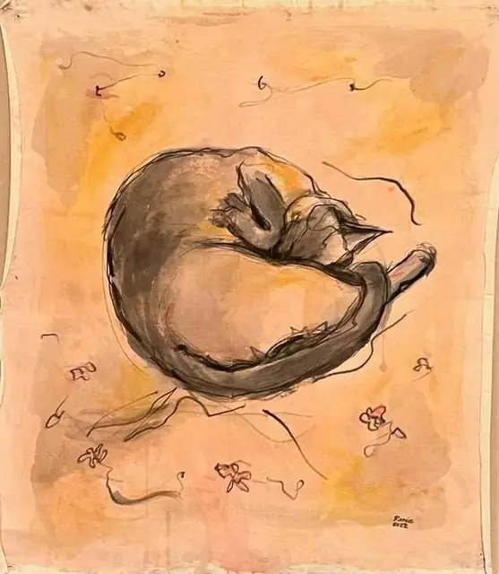 A cat curled up asleep