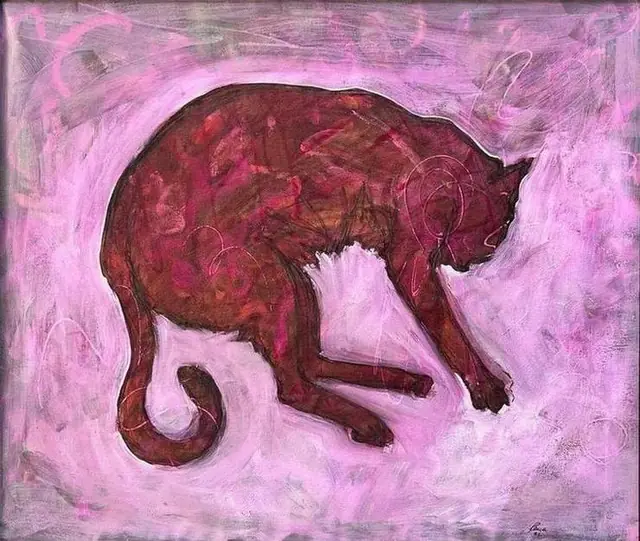 A brown cat curled on pink