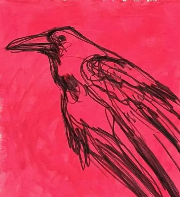 A crow on bright pink