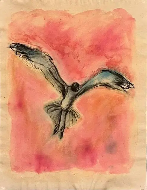 A gull in flight