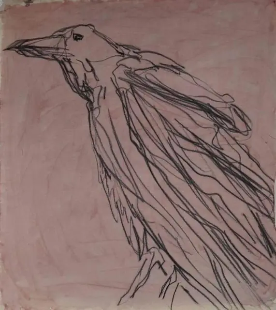 A crow on dusty pink