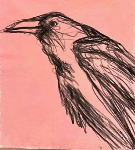 A crow in black line