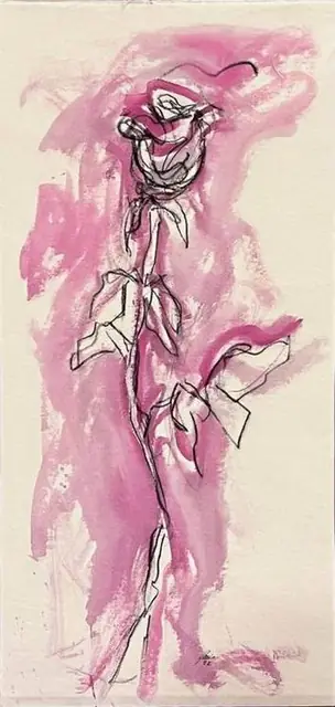 A rose in soft pink