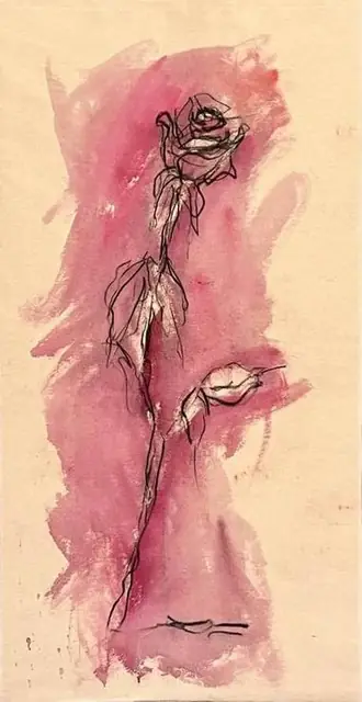 A rose in deep pink
