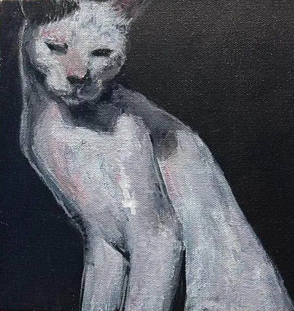 A white cat on black
