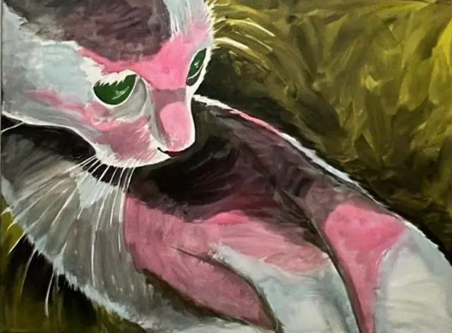 A pink and white cat on green