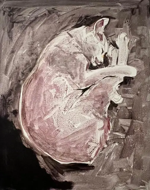 A pale cat curled asleep on grey