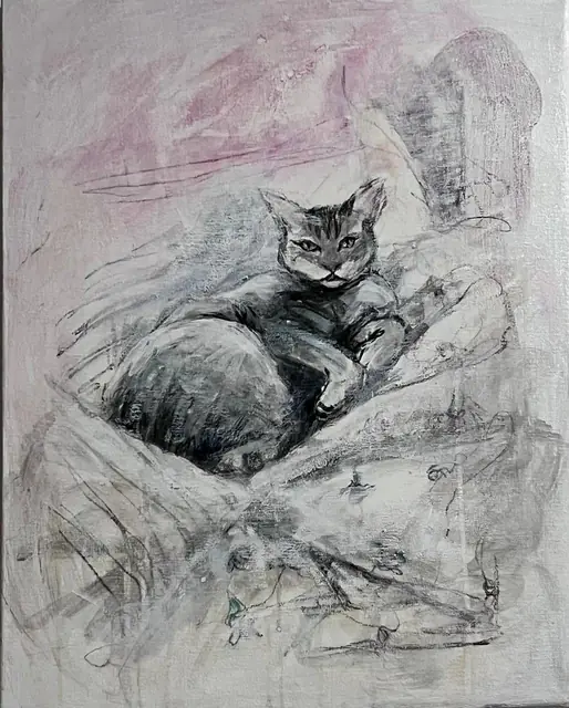 A tabby cat in charcoal, on pink