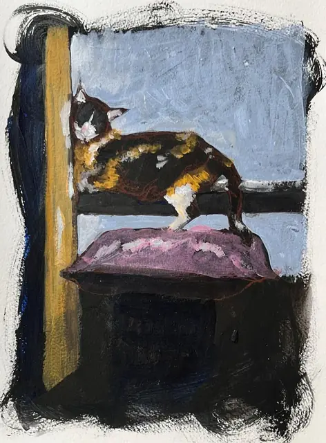 A calico cat on a lilac cushion by the window