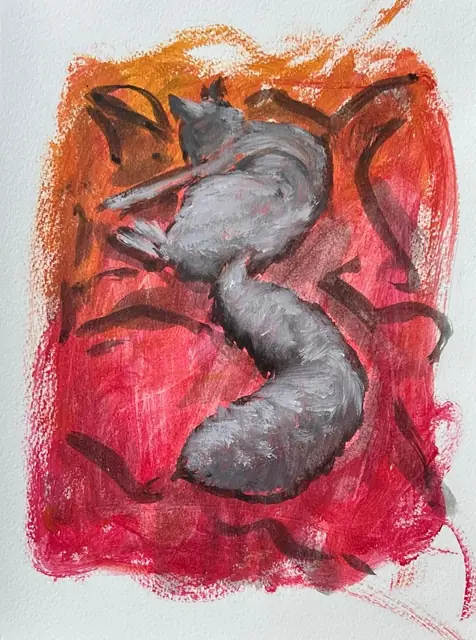 A grey cat asleep on red and orange