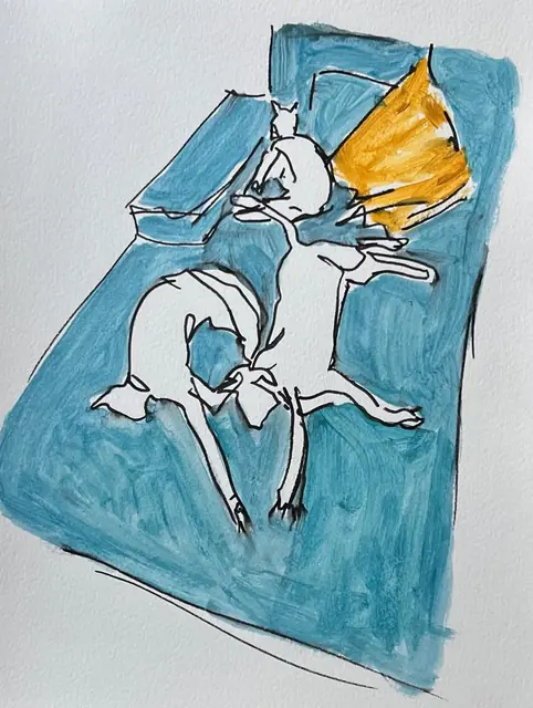 A cat in white line, asleep on a teal blanket