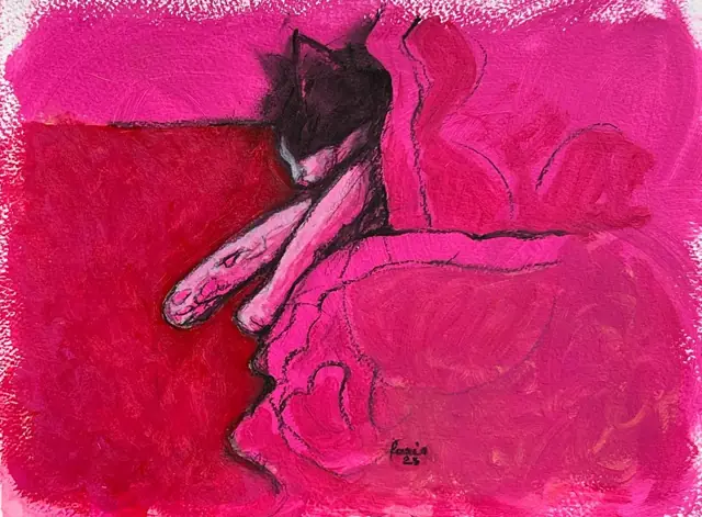 A dark cat asleep with its paws stretched out, on pink and red