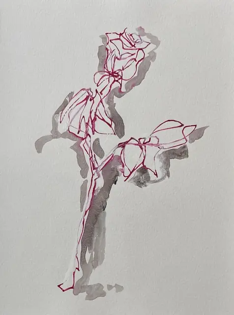 A rose in pink line with a grey shadow