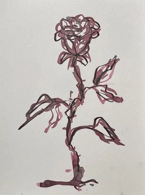 A rose in burgundy ink and charcoal