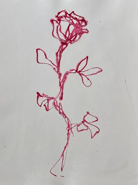 A rose drawn in one pink line