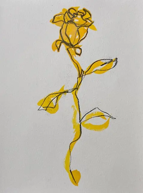 A yellow rose in pencil line