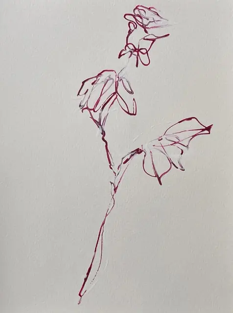 A rose in fine fuchsia line, leaves reaching out