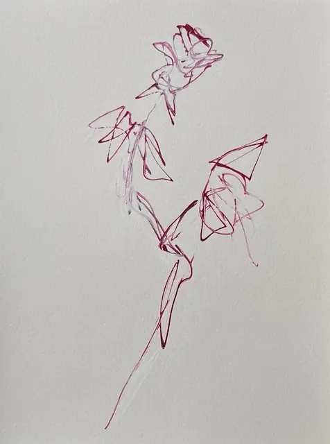 A rose in sharp, angular fuchsia lines