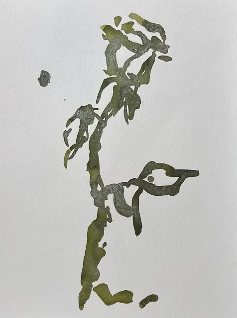 A rose in mossy green ink