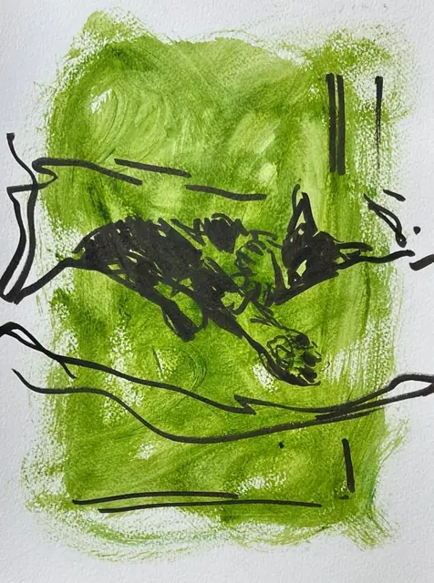 A black cat asleep in quick marker lines, on lime green