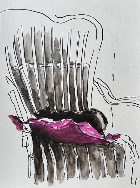 A black cat on a magenta cushion in a grey-washed chair