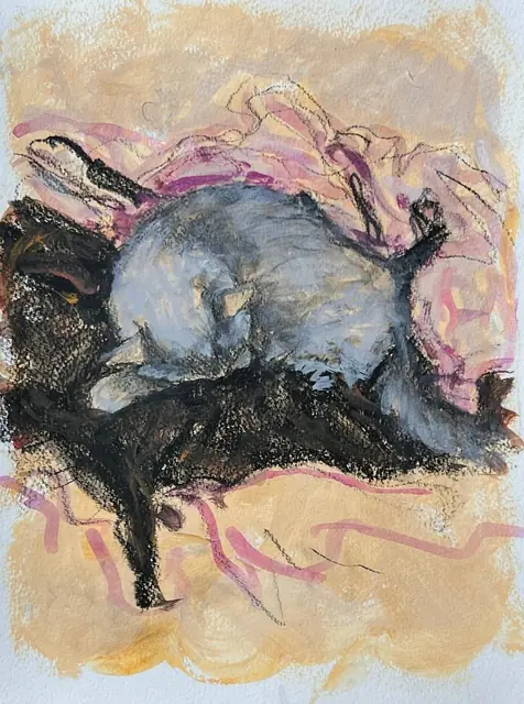 A grey cat and a black cat asleep together on ochre