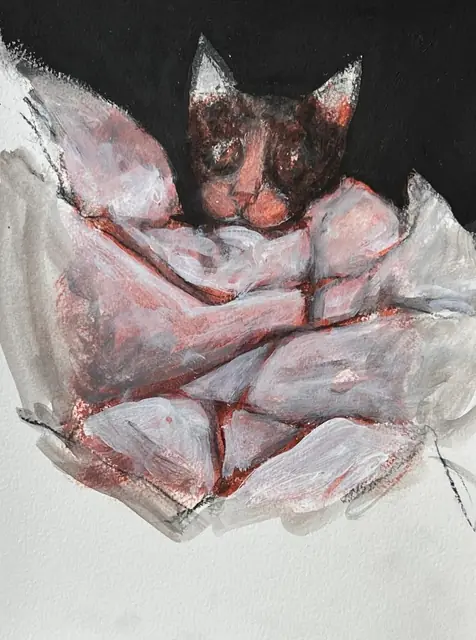 A cat peeking out from white folds, on black
