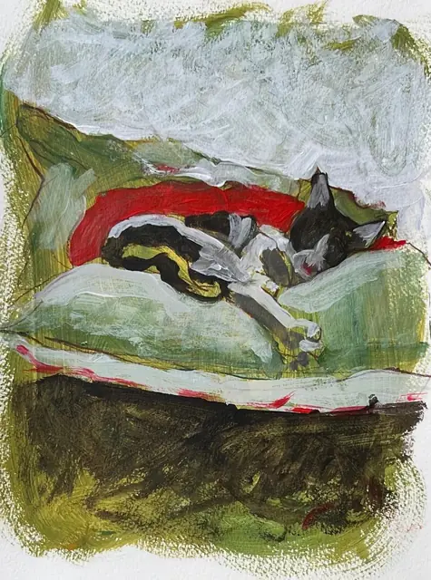 A black and white cat asleep on pillows, in green and red