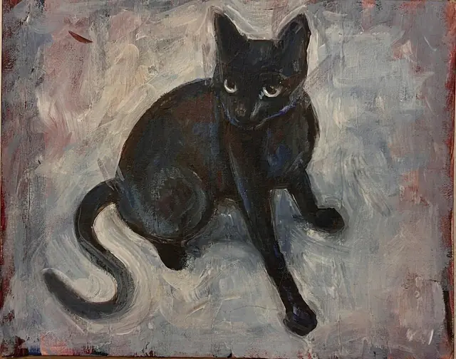 A black cat looking up, on grey-blue