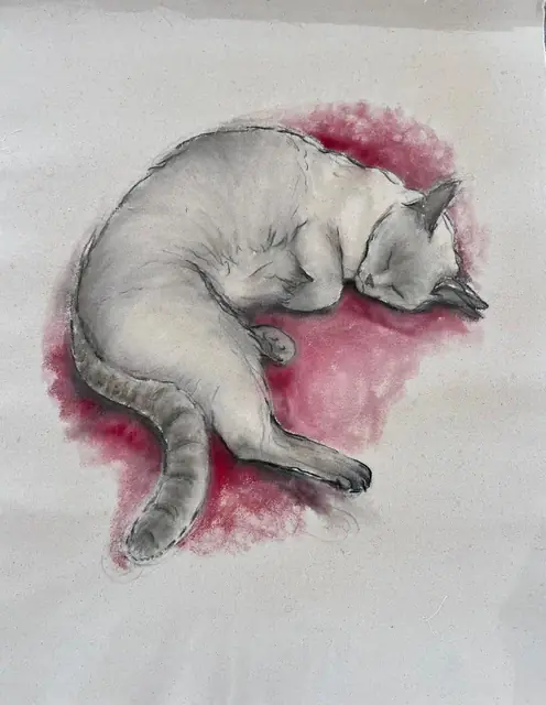 A pale cat asleep on a patch of crimson