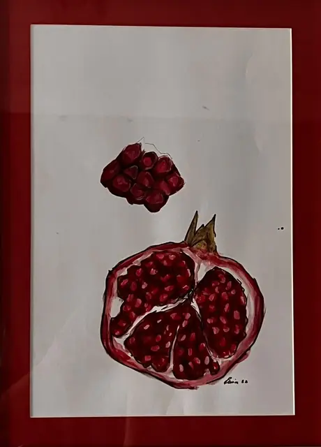 Half a pomegranate and a cluster of seeds, on paper