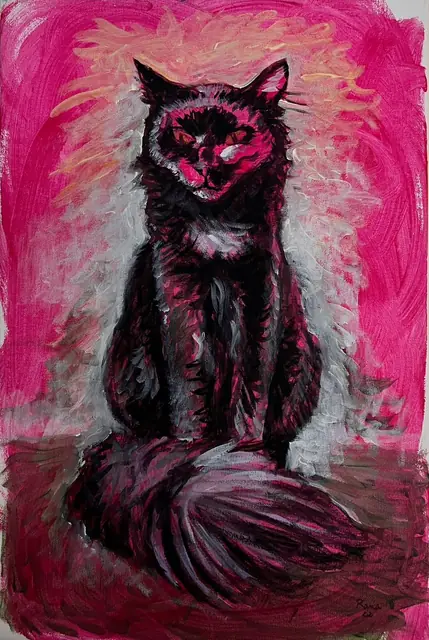 A dark long-haired cat sitting on hot pink