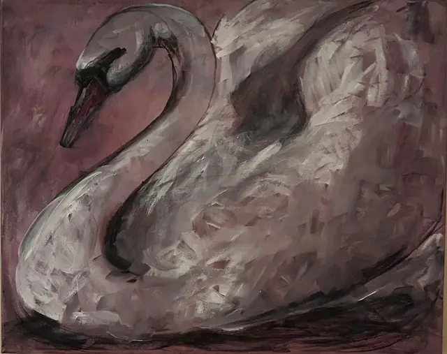 A white swan on dusty rose
