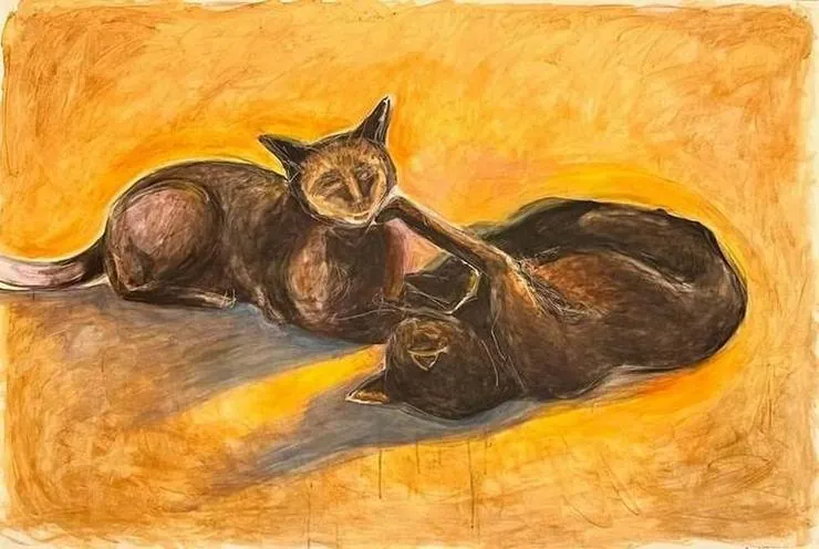 Two black cats in the sun