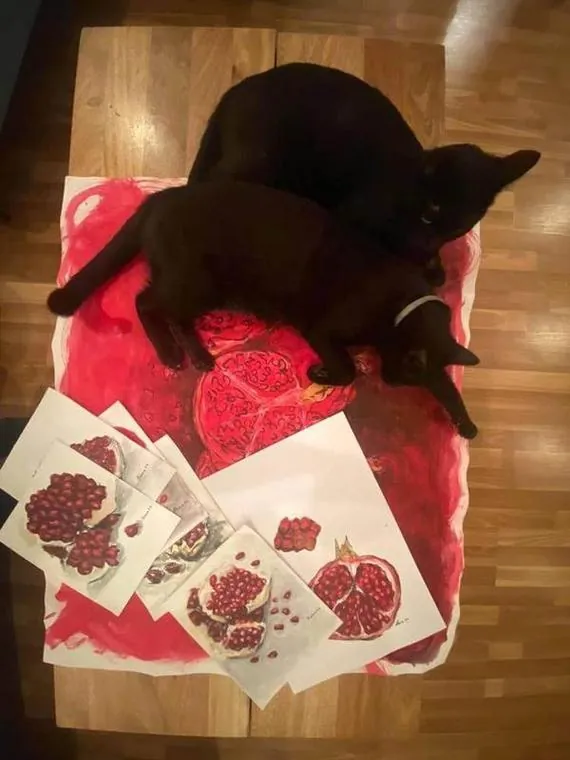The pomegranate series, with company