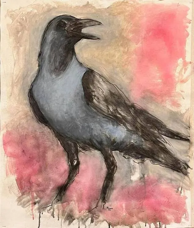 A crow on pink