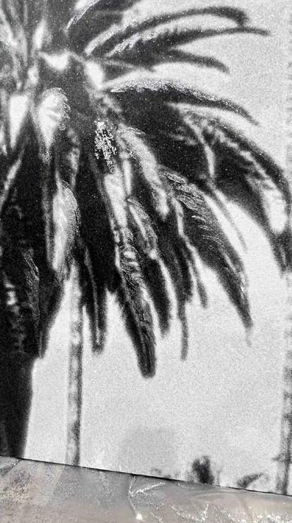 Glitter detail on a palm tree